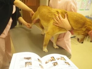 2014-01-10 18.47.51-1